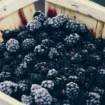 photo of blackberry fruits